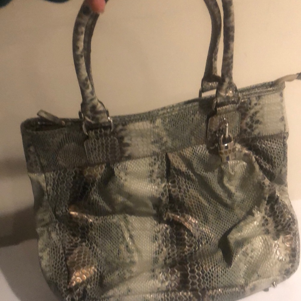 Snakeskin Purse